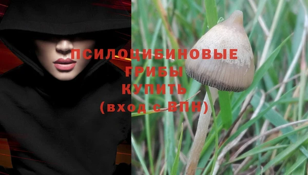 PSILOCYBIN Ступино
