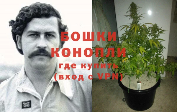 PSILOCYBIN Ступино
