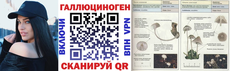 Купить где  Славгород  Псилоцибиновые грибы Magic Shrooms 
